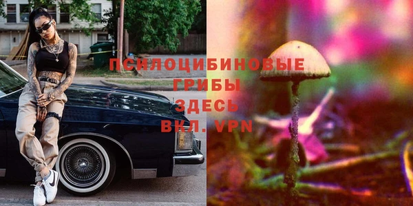 МДПВ Аркадак