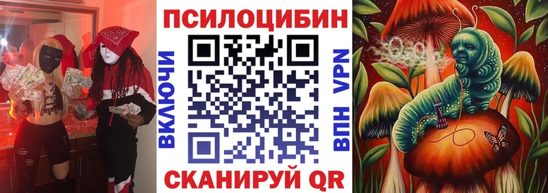 Псилоцибиновые грибы мицелий  Михайловск 